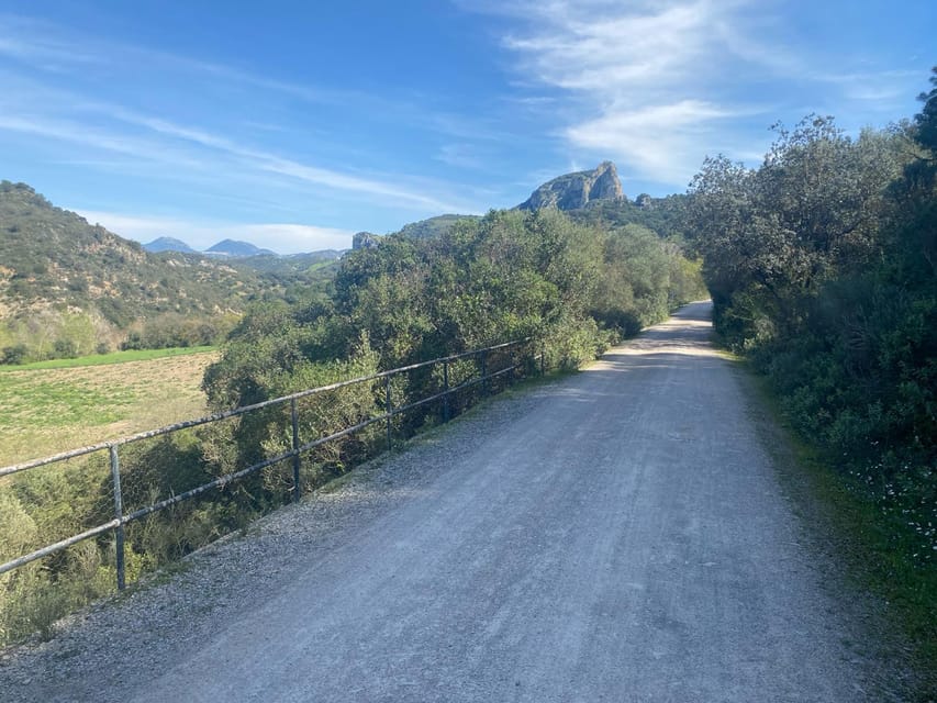 From Ronda: Via Verde de la Sierra Easy Cycling Tour - Is $117 a fair price?