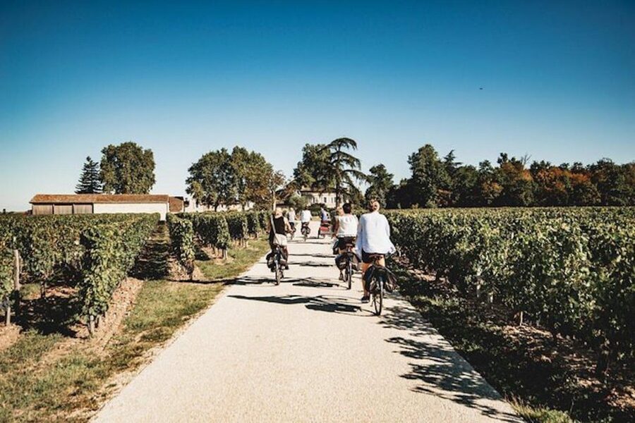 From Saint-Emilion : Half Day Electric Bike Tour - Key points to know before you book