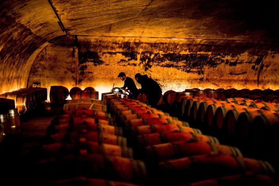 From Saint-Emilion : Half Day Electric Bike Tour - Returning to Saint-Émilion by 4 or 4:30pm