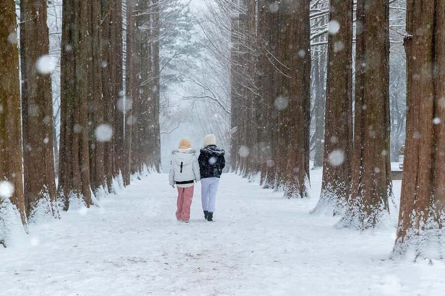 From Seoul: Nami Island, K-drama Garden & Rail Bike Day Tour - Garden of Morning Calm: a quiet first stop