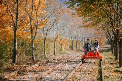 From Seoul: Nami Island, K-drama Garden & Rail Bike Day Tour