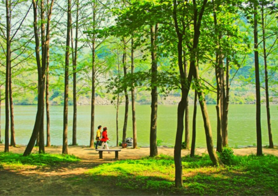 From Seoul: Nami Island, K-drama Garden & Rail Bike Day Tour - Guides, transport, and group style