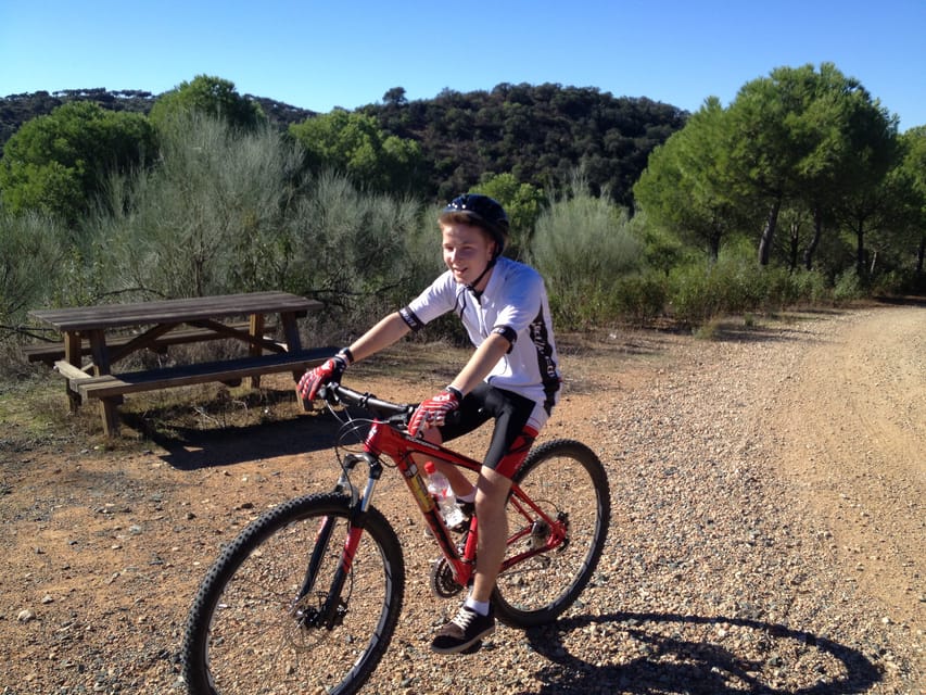 From Seville: Half-Day Guided Bike Trip to Italica - Mosaics, villas, and the parts of Itálica that remain