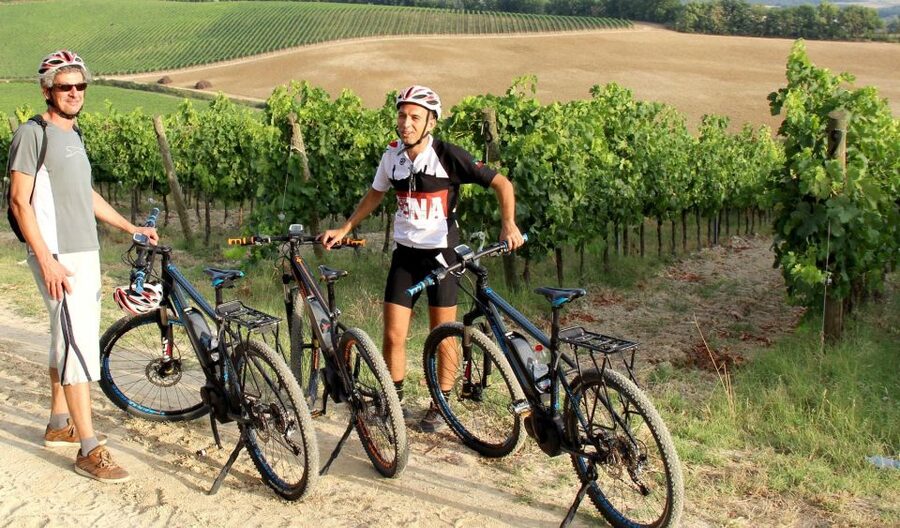 From Siena: Chianti Countryside E-Bike Tour w/ Lunch & Wine - Key points at a glance