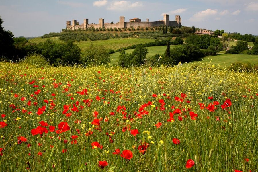 From Siena: Chianti Countryside E-Bike Tour w/ Lunch & Wine - Starting at Siena train station