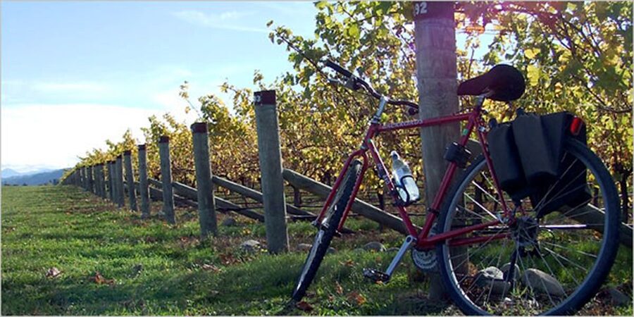 From Siena: Chianti Countryside E-Bike Tour w/ Lunch & Wine - Why the e-bike makes sense in Tuscany
