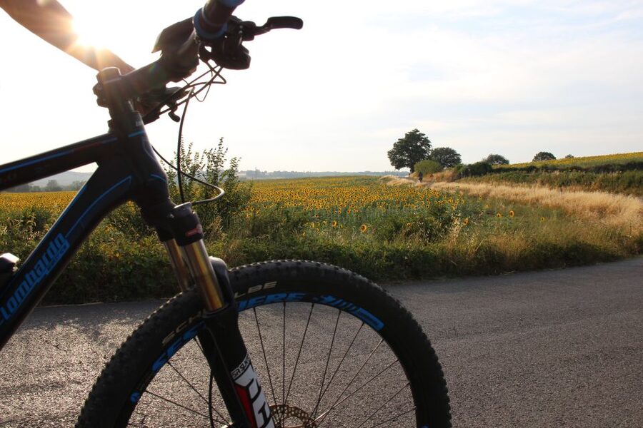 From Siena: Chianti Countryside E-Bike Tour w/ Lunch & Wine - Monteriggioni and its medieval walls