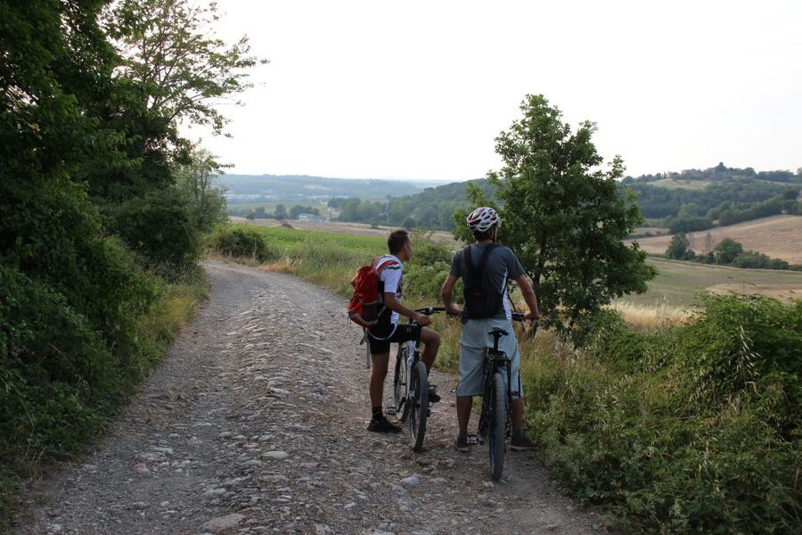 From Siena: Chianti Countryside E-Bike Tour w/ Lunch & Wine - The cost and what you receive