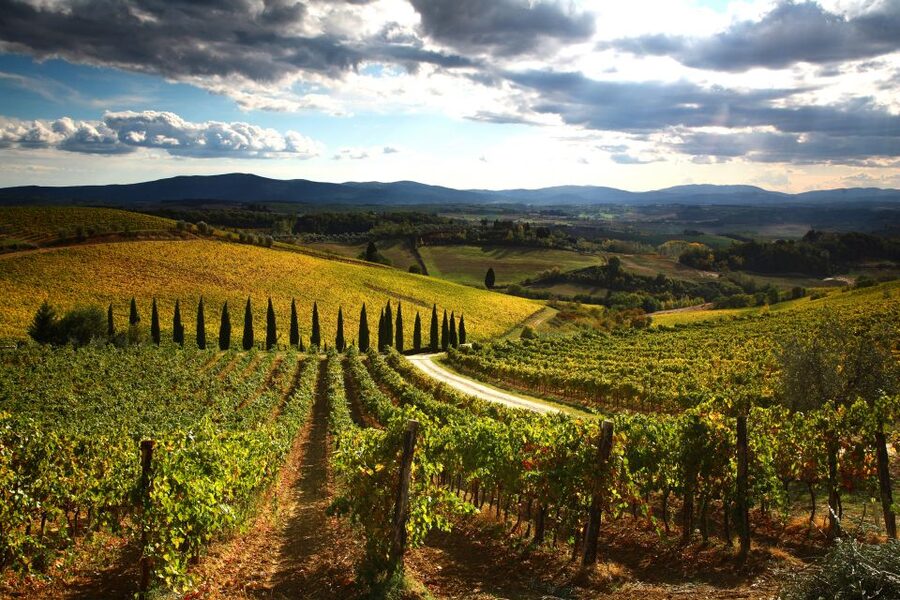 From Siena: Chianti Countryside E-Bike Tour w/ Lunch & Wine - Should you book the Chianti e-bike tour?