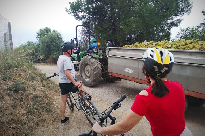 From Sitges: Bike Tour and Winery Visit with Free Hotel Pick Up. - Inside Caves Romagosa Torne with Montse