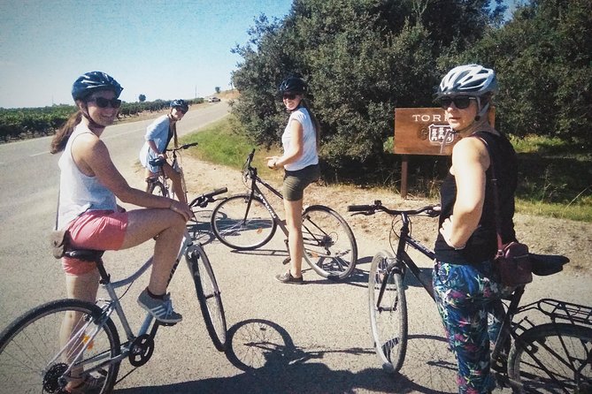 From Sitges: Bike Tour and Winery Visit with Free Hotel Pick Up. - How difficult is the route?