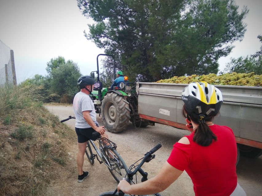 From Sitges: Cycling Tour with Winery visit and Tasting - Should you spend $100 on it?