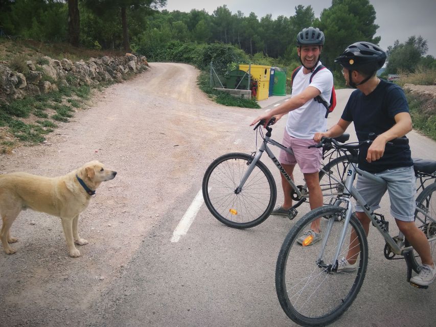 From Sitges: Cycling Tour with Winery visit and Tasting - Who should book this tour
