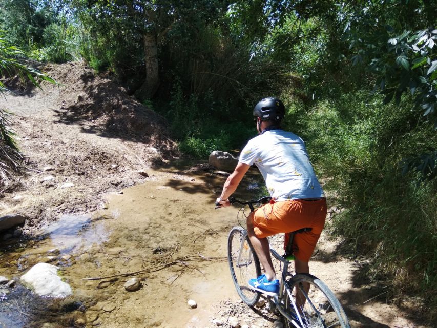 From Sitges: Paella Masterclass, Bike Ride and Winery Visit - Small details that improve the day