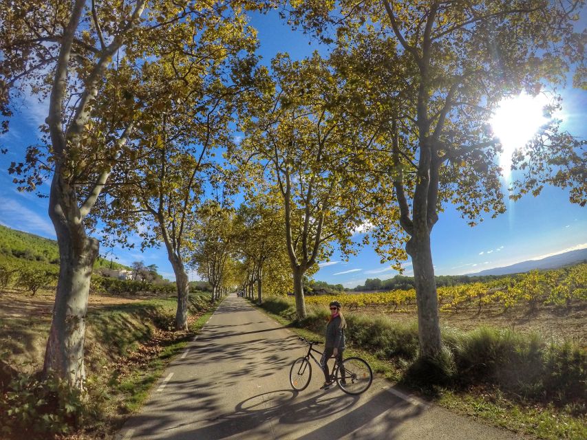 From Sitges: Paella Masterclass, Bike Ride and Winery Visit - Should you book this Penedès experience?