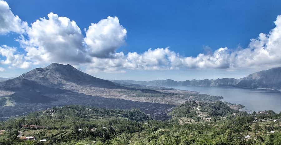 From Ubud: Downhill Bike Tour with Rice Terraces and Meal - Key points to know before booking