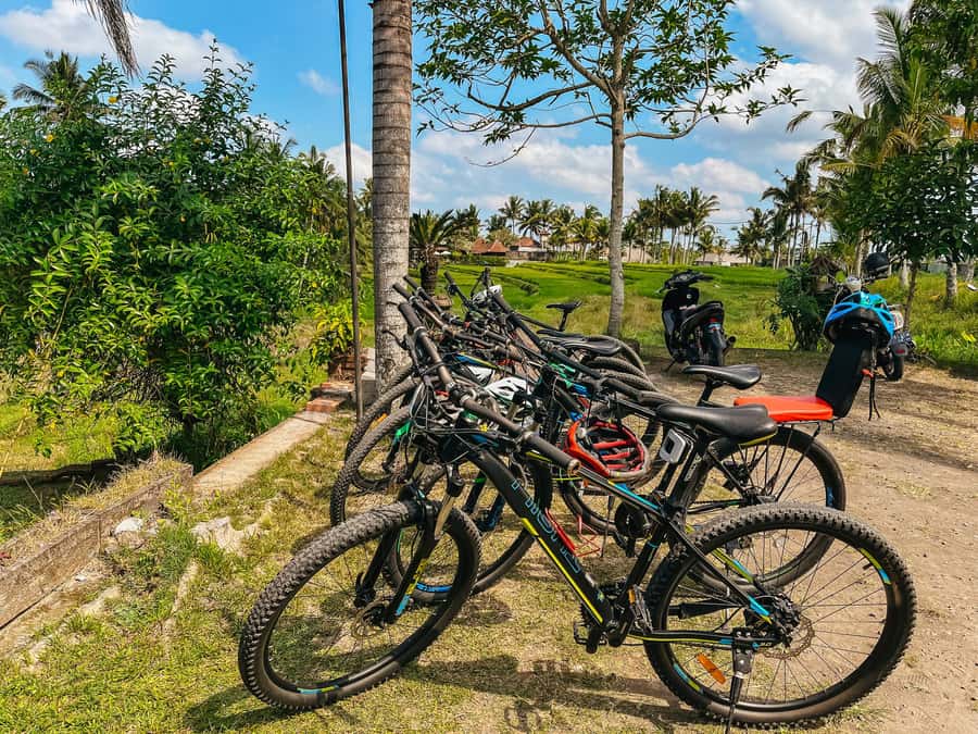 From Ubud: Downhill Bike Tour with Rice Terraces and Meal - From Ubud to the slopes of Kintamani
