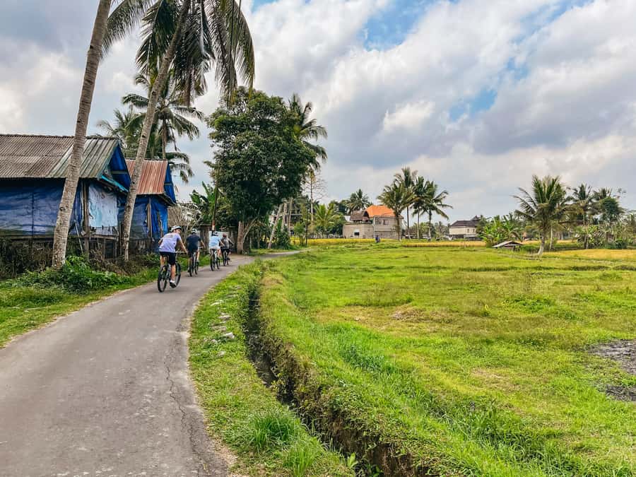 From Ubud: Downhill Bike Tour with Rice Terraces and Meal - The downhill ride toward Ubud