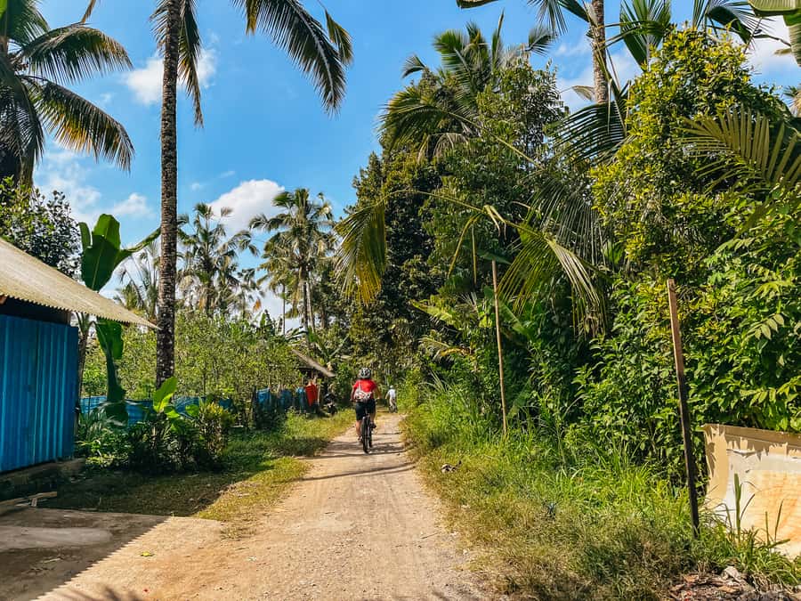 From Ubud: Downhill Bike Tour with Rice Terraces and Meal - Should you book it?