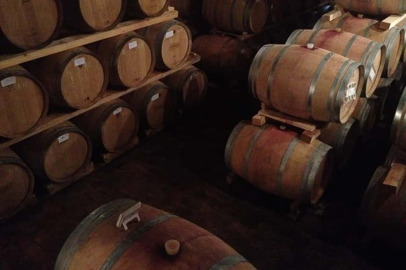 From Verona: Amarone Wine E-Bike Tour with Tasting - From Verona streets to Valpolicella vines