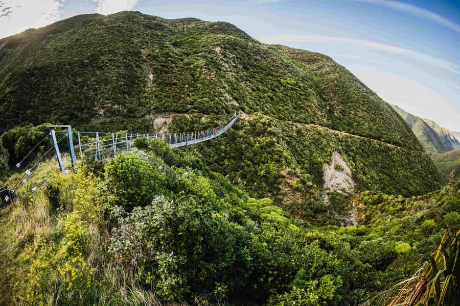 From Wellington: Remutaka Rail Trail eBike Tour - A Railway Trail With a Proper Sense of Adventure