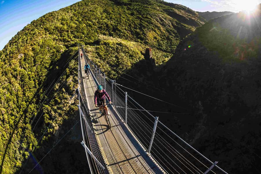 From Wellington: Remutaka Rail Trail eBike Tour - From Wellington Station to Kaitoke