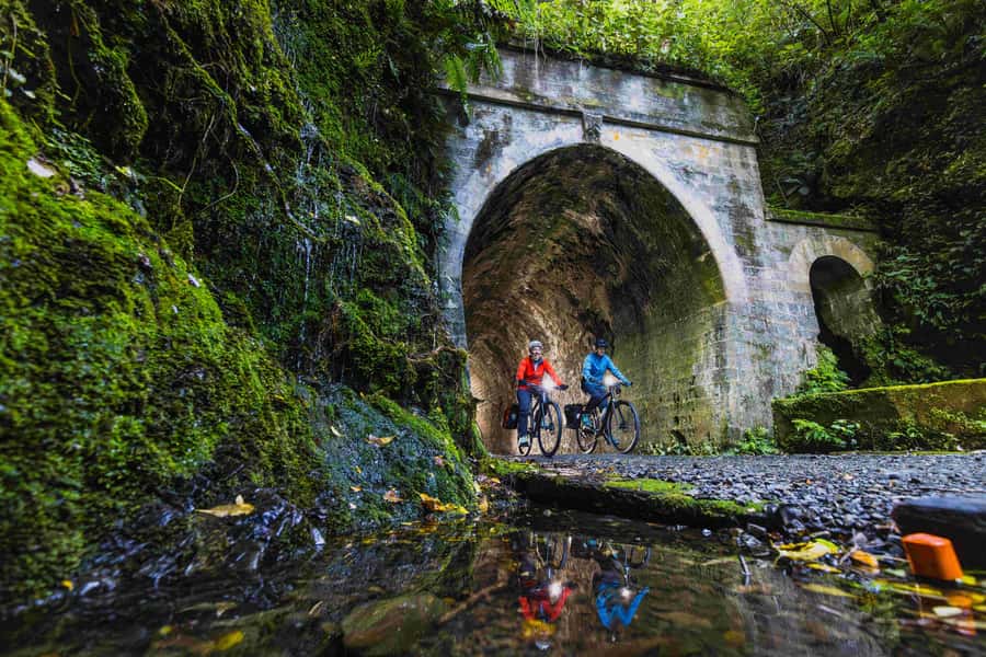 From Wellington: Remutaka Rail Trail eBike Tour - The Summit Picnic and the Best Mountain Views