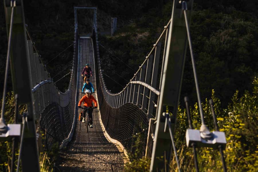 From Wellington: Remutaka Rail Trail eBike Tour - The Descent to Cross Creek