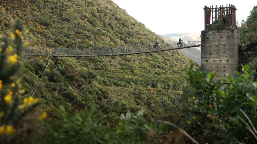 From Wellington: Remutaka Rail Trail eBike Tour - Should You Book the Remutaka Rail Trail eBike Tour?