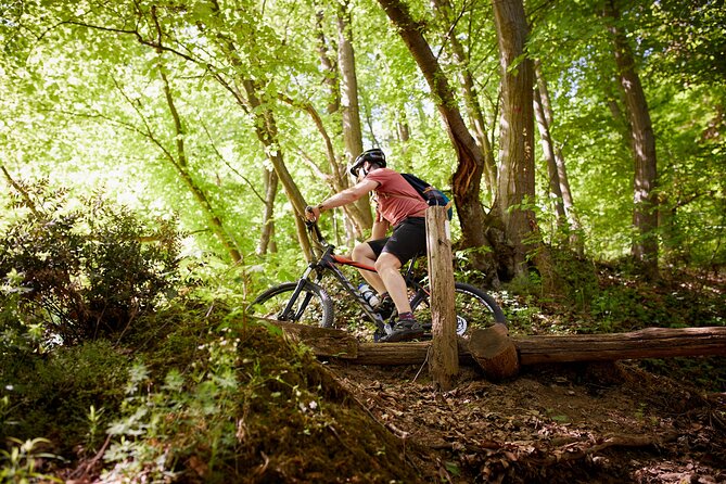Fruška Gora Bike Tour - What your guide adds to the day
