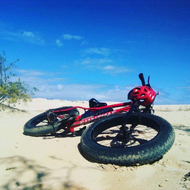 Fuerteventura: Explore the Area with a Bike Rental - Why a bike is a smart way to see northern Fuerteventura