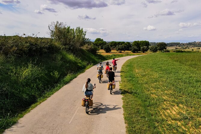 Full-Day Costa Brava and E-Bikes Guided Tour from Barcelona - Key points to know before booking
