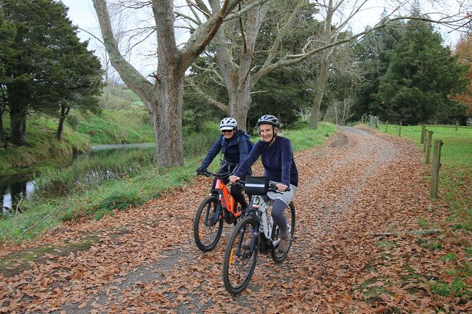 Full Day Ebike Tour in Karangahake Gorge (ex Auckland) - The Waikino to Waihi section, 14 kilometers each way