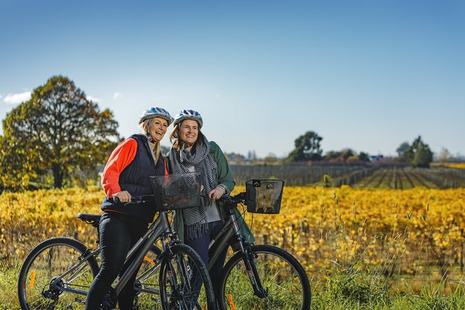 Full-Day Marlborough Wine Region Bike Hire - Key points to know before you book