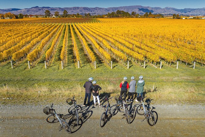 Full-Day Marlborough Wine Region Bike Hire - Bike choices for couples, families, and mixed abilities