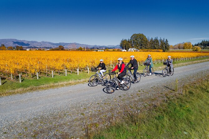Full-Day Marlborough Wine Region Bike Hire - The transport issue you should settle first