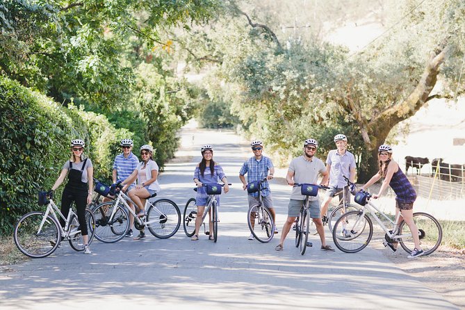 Full-Day Napa Winery E-Bike Tour (with Picnic Lunch) - Starting in Yountville at 9:30 am