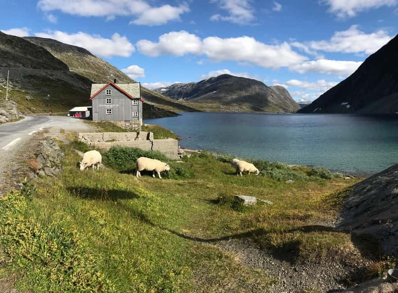 Geiranger Fjord: Downhill Self-Guided Bike Tour - Practical tips for a smoother descent