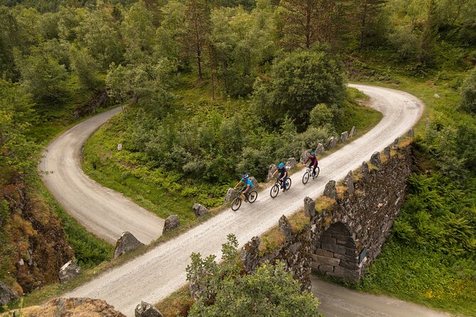 Geiranger: Sky to Fjord Downhill Biking Adventure - From Geiranger to Djupvatn Lake at 1,030 meters