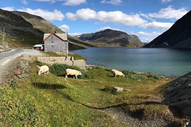 Geiranger: Sky to Fjord Downhill Biking Adventure - Equipment, comfort, and safety checks