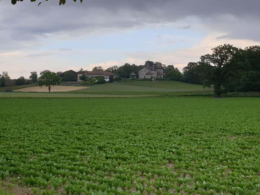 Geneva Countryside And Art Museum At A Castle Wine By E-Bike - The optional art museum visit