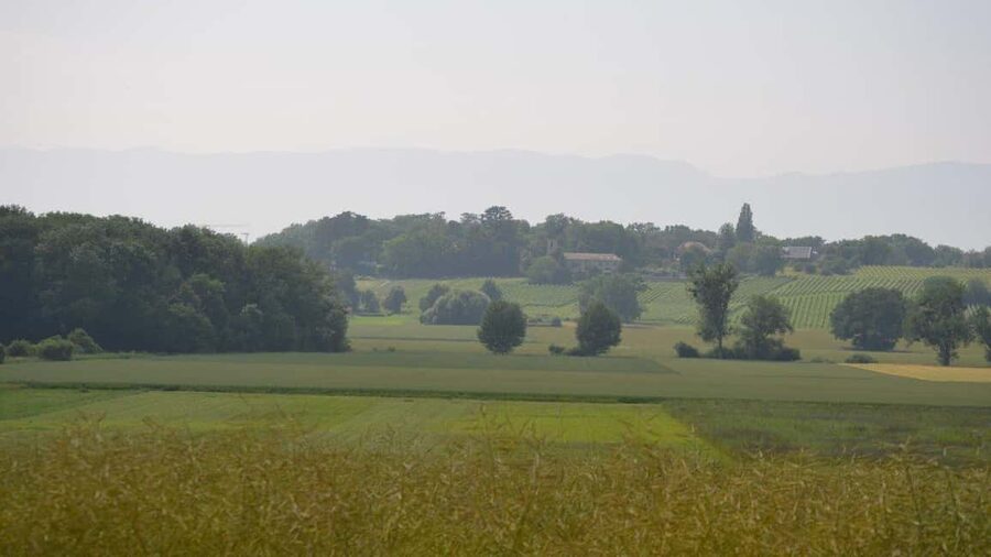 Geneva Countryside And Art Museum At A Castle Wine By E-Bike - Guide quality and the importance of expectations