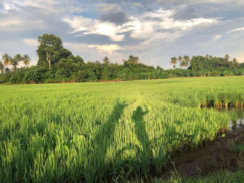 George Town: Balik Pulau Countryside Morning Cycling Tour - Why Balik Pulau is worth your morning