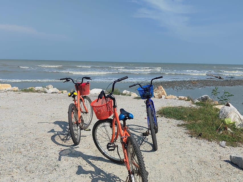 George Town: Balik Pulau Countryside Morning Cycling Tour - Container art and photo stops