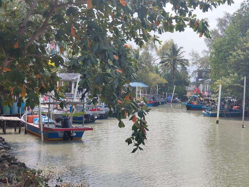 George Town: Balik Pulau Countryside Morning Cycling Tour - Bicycles, comfort, and road conditions