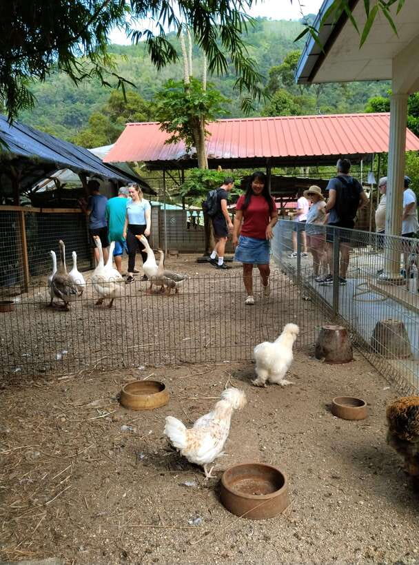 George Town, Penang: Malay Countryside Cycling - Why Balik Pulau makes a better bike setting than George Town