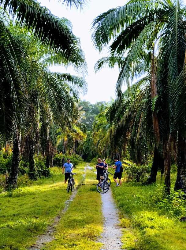 George Town, Penang: Malay Countryside Cycling - The early transfer from 6b Lebuh Pantai