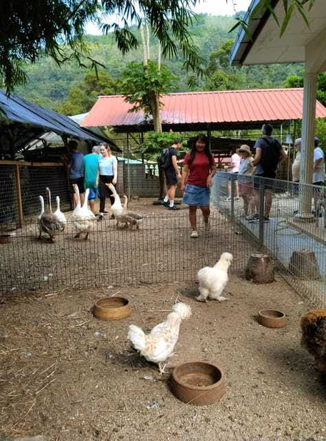 George Town, Penang: Malay Countryside Cycling - How strenuous is the 2.5-hour ride?