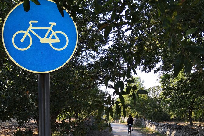 GPS tour with E-Bike on cycleroute of acqueduct Pugliese with wine tasting directly in vineyards - Starting in Locorotondo with a private e-bike