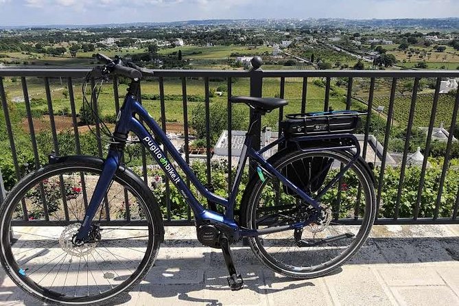 GPS tour with E-Bike on cycleroute of acqueduct Pugliese with wine tasting directly in vineyards - Views across trulli country